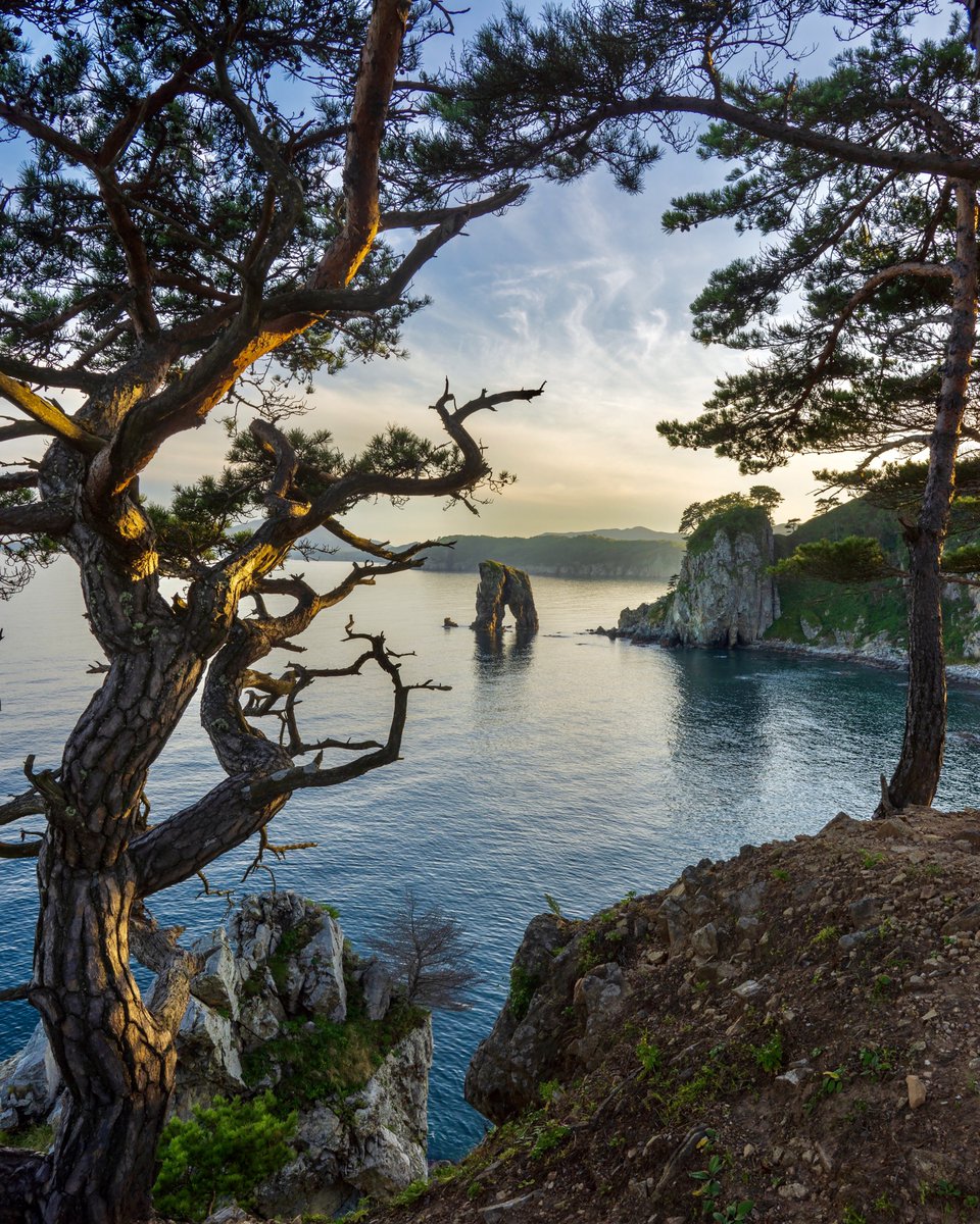 Russian Embassy, UK on Twitter 