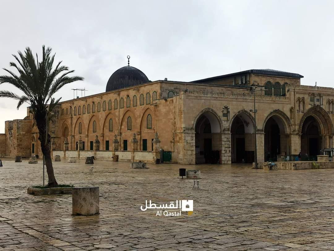 bilalza11002931's tweet photo. Just peace ✌🏼 in Alaqsa
#IslamicMessaginSystem https://t.co/cHFIhlF4dG
