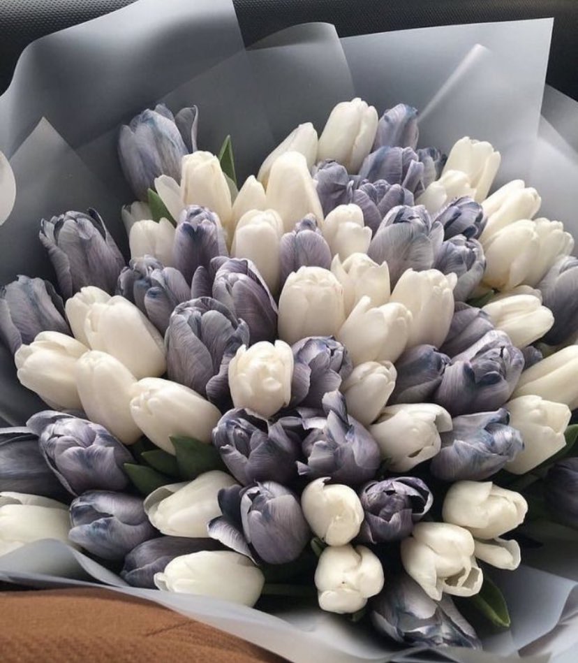 EthanGrowth's tweet photo. tulipanes <3 https://t.co/VR3oVAqWDg