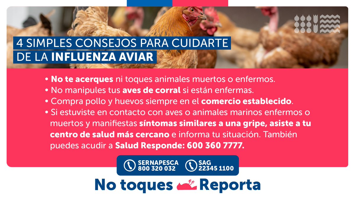 ⚠️Cuídate de la #InfluenzaAviar👉🏻si ves animales enfermos o fallecidos no te acerques ni los toques y reporta inmediatamente al <a href="/SAGRegionAysen/">SAG Aysén</a> o <a href="/sernapesca/">Servicio Nacional de Pesca y Acuicultura 🇨🇱</a> según corresponda.