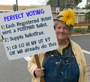 time4kind's tweet photo. Perfect Voting ALREADY exists.
True Liberty: #MailVoteInEveryState .
If Registered:
1/ We are sent a Postpaid Ballot;
2/ which we can track with BallotTrax to being Received & then Counted by County;
3/ Paper for audit.
4/ CA CO HI NV UT VT OR WA Luv this! https://t.co/rFQJDmSaln