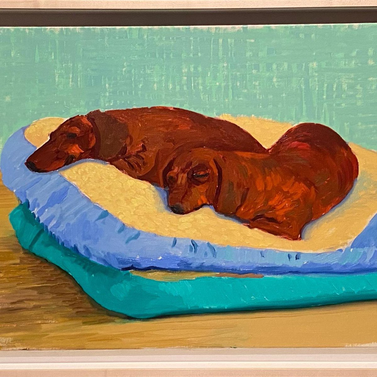 DOG WAT I SAW tweet media