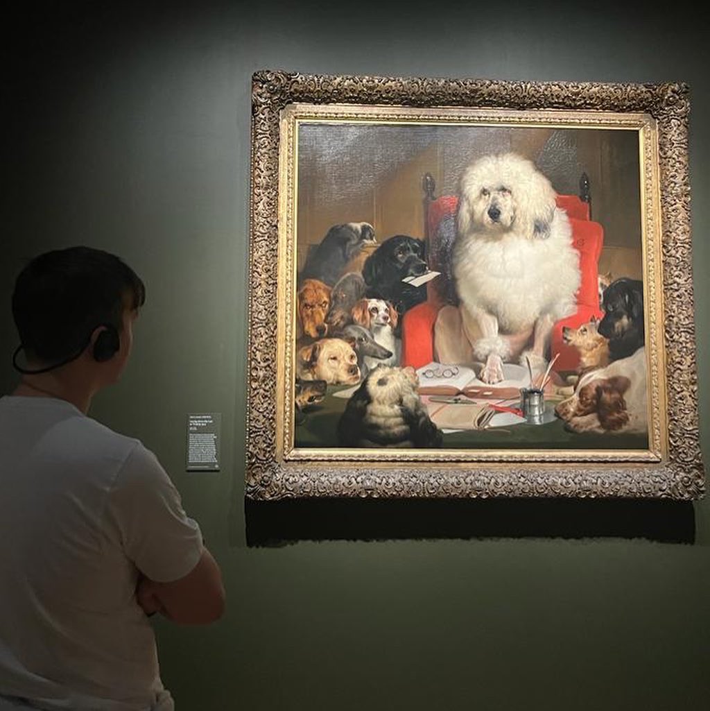 DOG WAT I SAW tweet media