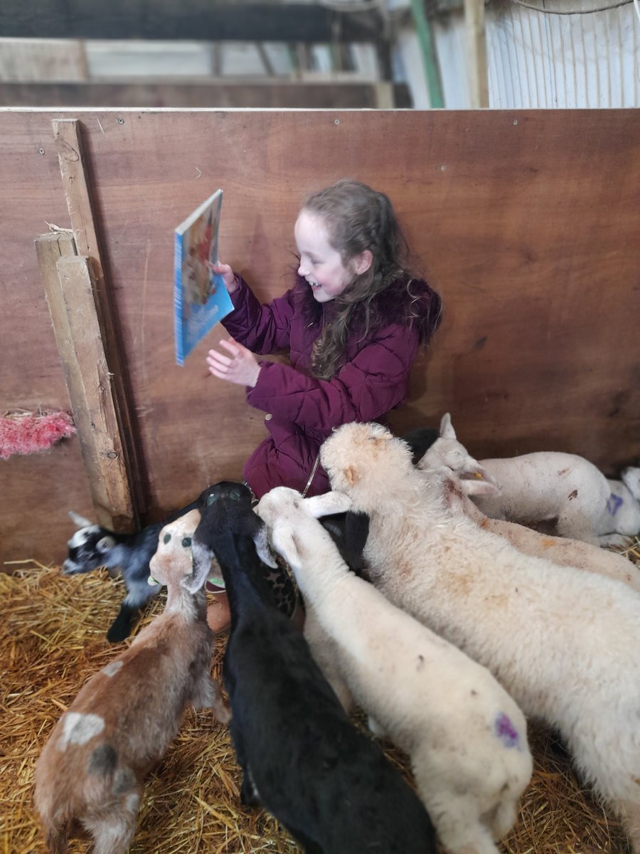 lizziesummer123's tweet photo. Millie enjoyed reading to the lambs and goats at Curlys Farm today as part of her reading challenge to someone special, it certainly was a challenge🥰 @SwingatePrimary https://t.co/ZLE5s8M6D1
