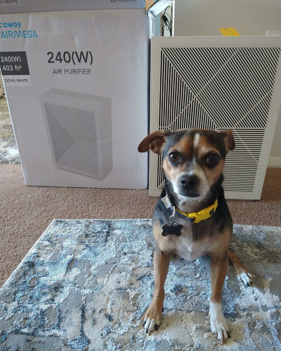 luciana_peter1's tweet photo. #tryitsampling @cowaymega I'm very happy with this air purifier. It is compact, charming, almost sweet-looking! It has some nice features... Would definitely recommend this product to anyone who wants improved air quality in their home.@Bazaarvoice
Read👇
https://t.co/YEsWpLx0Dn https://t.co/0LVD1LzPdw