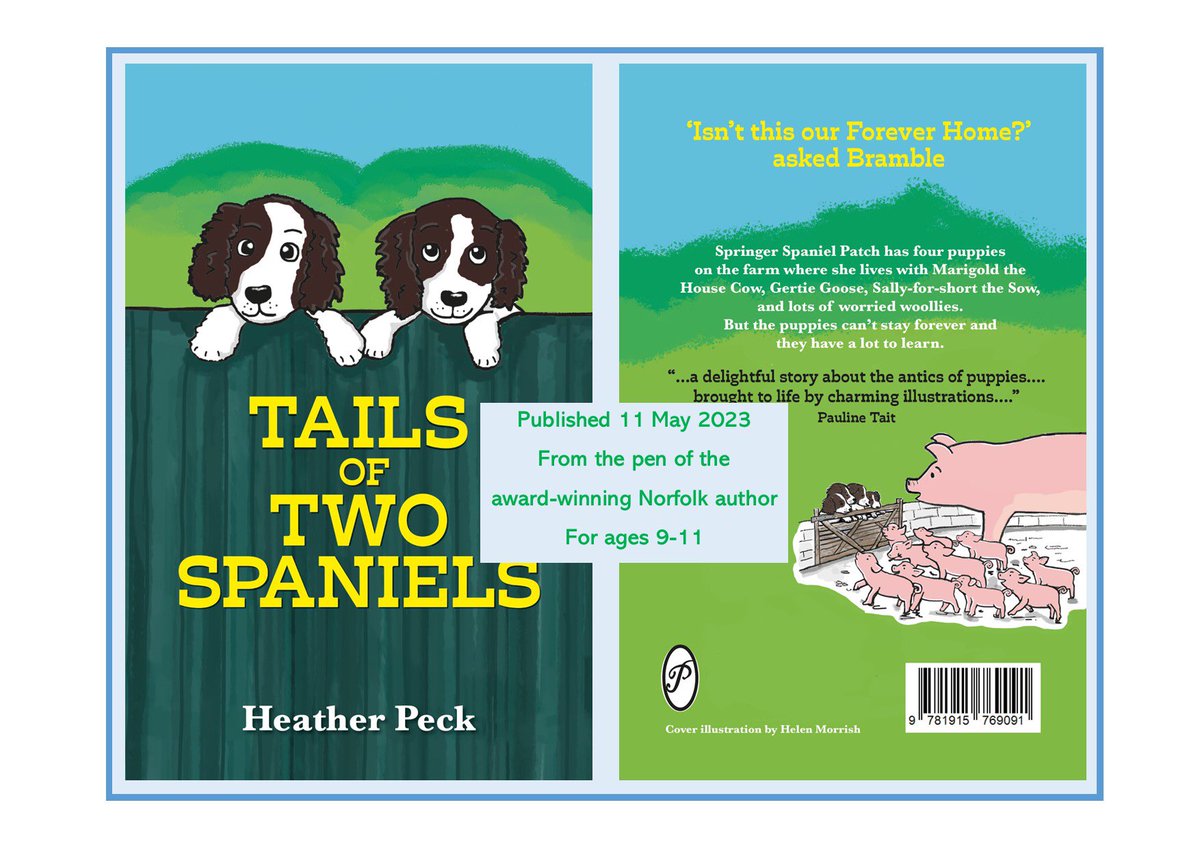 Heather Peck: award winning crime fiction author tweet media