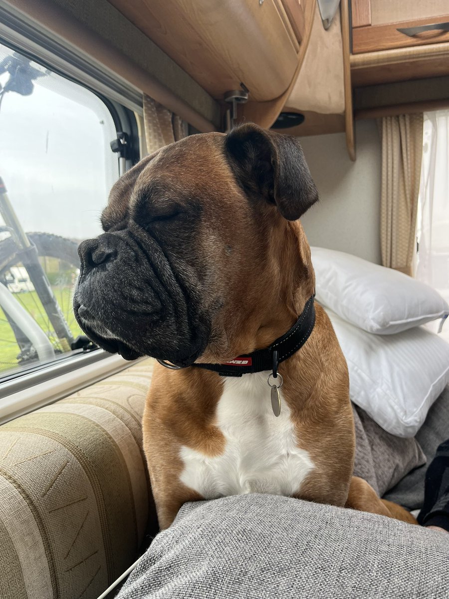 Plenty walking around the locks in Devizes today = sleeping sitting up