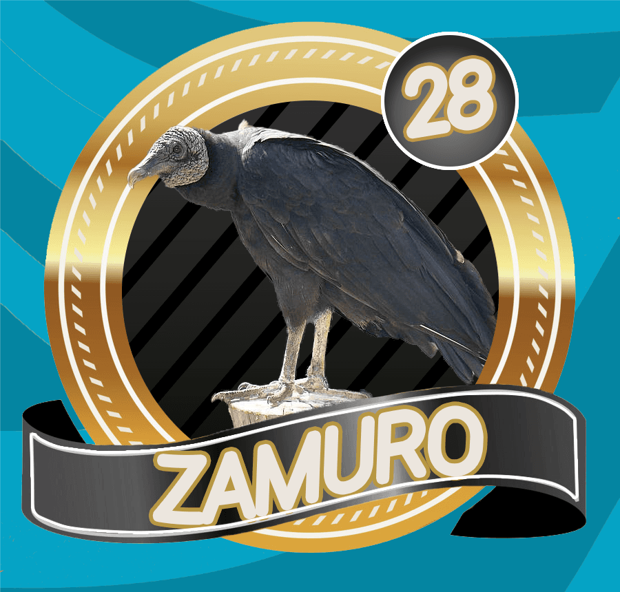LottoVerde's tweet photo. LOTTO VERDE
SORTEO
10/04/2023
03:30 PM
28 ZAMURO
@LottoVerde https://t.co/vDrFzCCNPu