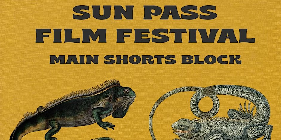 Also want to go ahead and highlight @SunPassFilmFest this weekend. I think Chris has done a great job with the fest (not just because I'm in one of the blocks) and it's esp neat that he's bringing down YELLING FIRE IN AN EMPTY THEATER to Miami when no one else has bothered.