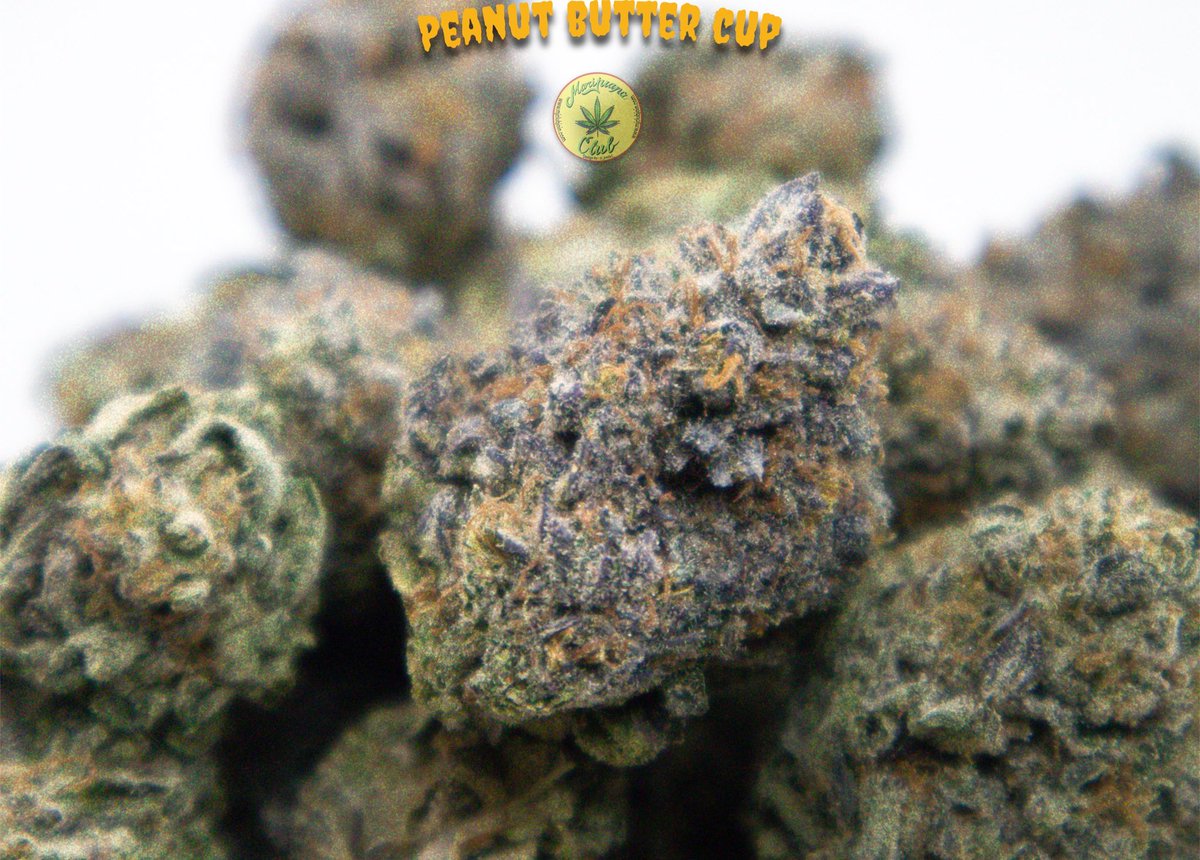rushgreen15's tweet photo. !! New Drop This Week!!
Follow me on Instagram: @marijuanaclub.916
Text me: 916-519-9848
Follow me on Twitter: @rushgreen15
Follow my YouTube Page: marijuana club 916 go to my website @ https://t.co/4Mi6hRSAu0
Join Telegram https://t.co/YcalvloWjQ https://t.co/qGsOEVbCIK