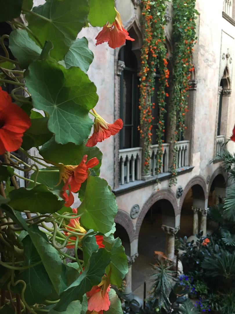 Artscope Magazine tweet media