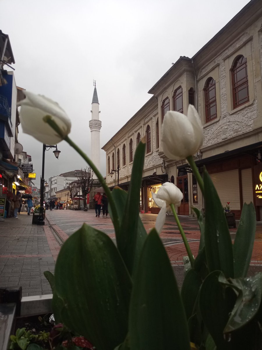 arzu_milli's tweet photo. 19 Ramazan, 1444 https://t.co/oWG2wB192D