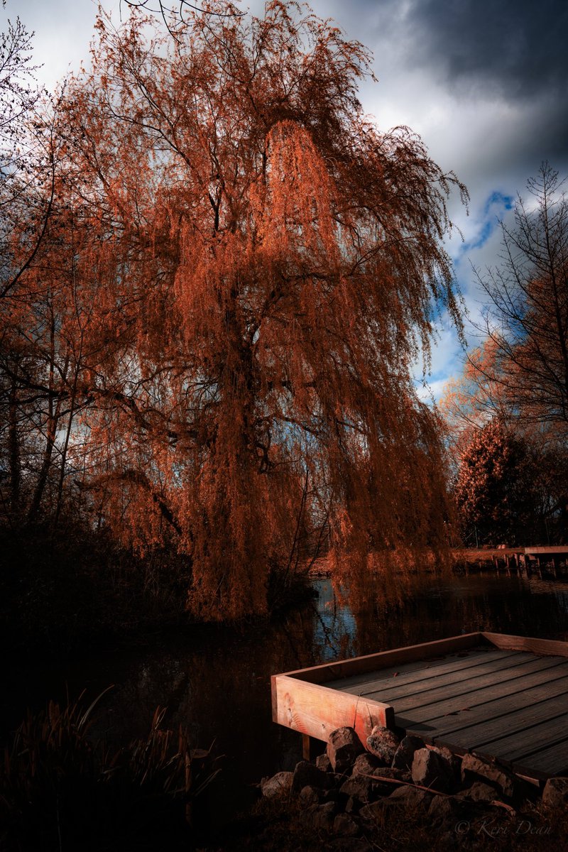 Final got to spend some time aimlessly wondering around the countryside with the camera today #relax #happyplace #photography #photooftheday <a href="/ThePhotoHour/">#ThePhotoHour</a>