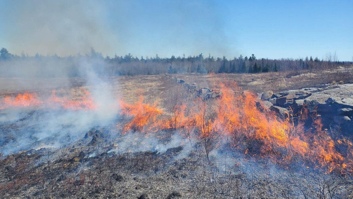 NWSCaribou tweet picture