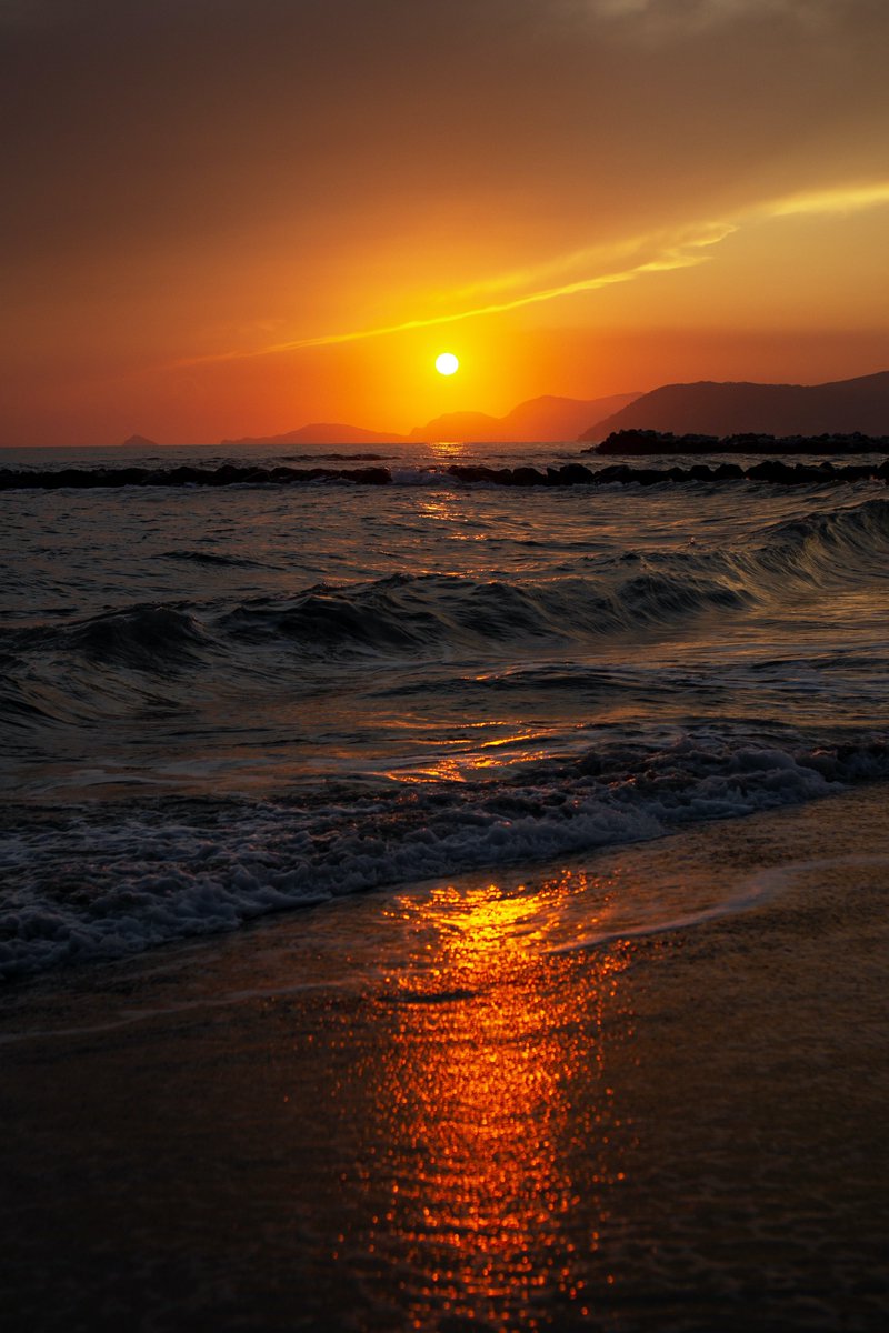 Pictures tweet media