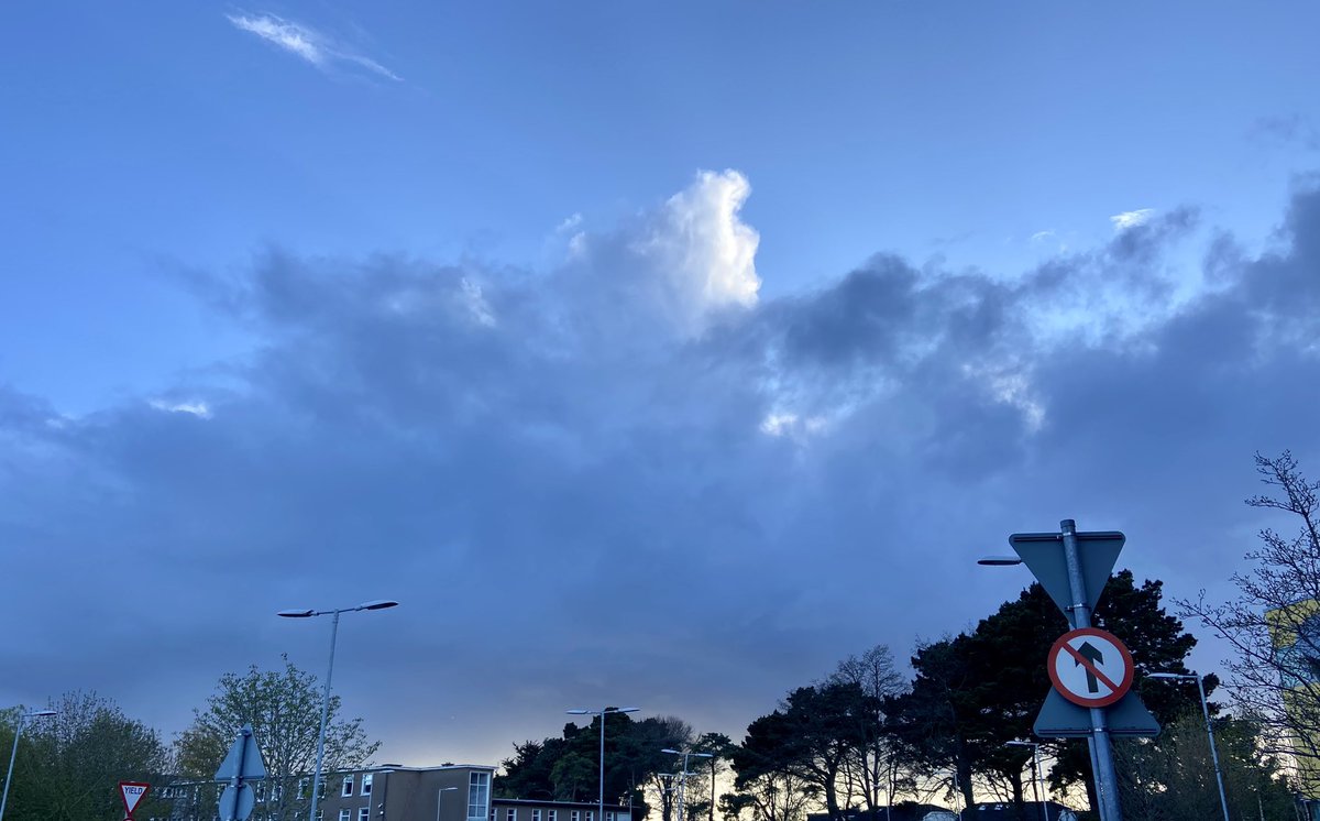 Anna Douglas tweet media