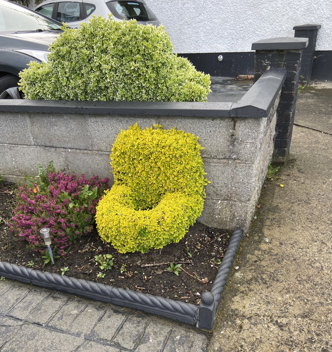 Anna Douglas tweet media