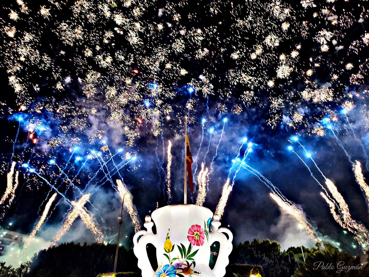 Murcia en primavera es una fiesta 😍