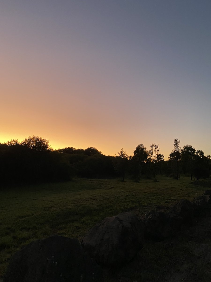 Dannysjustkidding tweet media