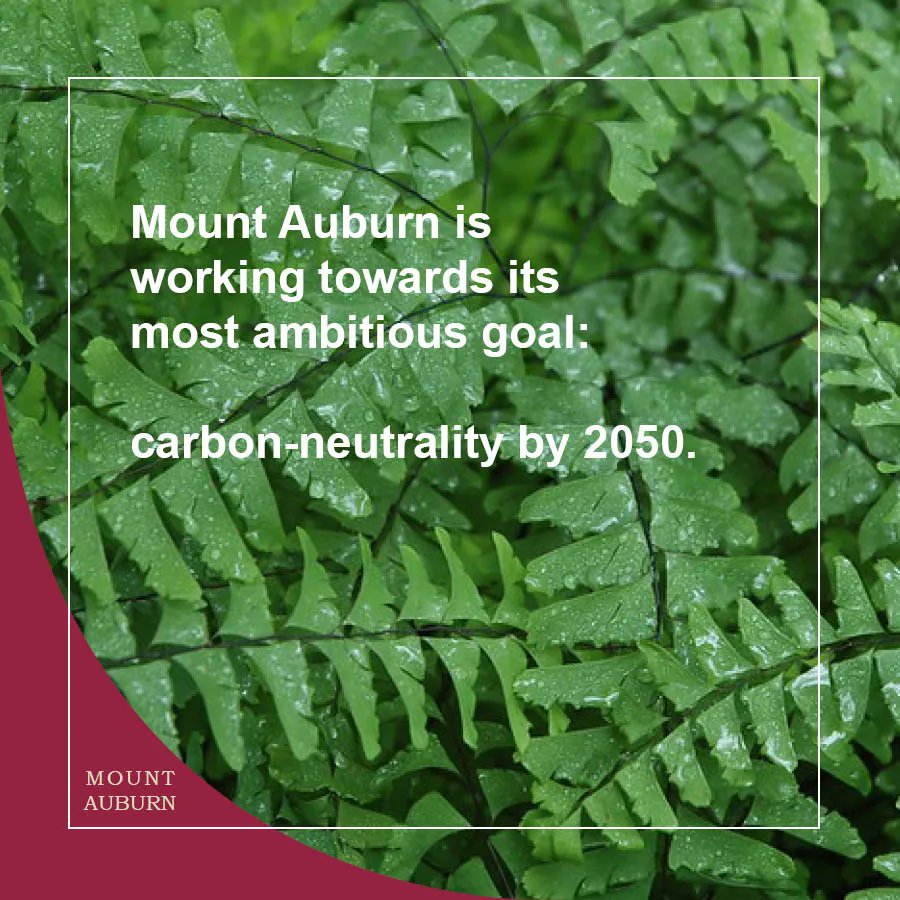 Mount Auburn Cemetery on Twitter "Did you know? Mount Auburn is