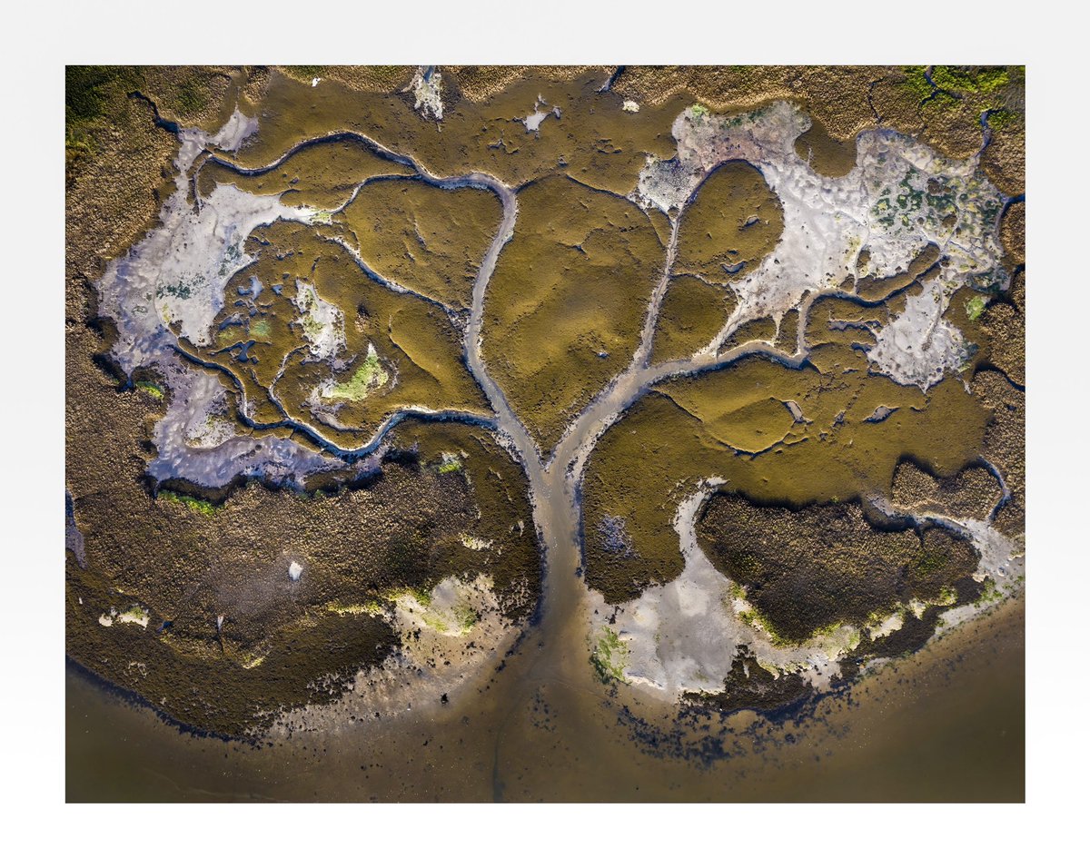 TomPackhamPhoto's tweet photo. T R E E  O F  L I F E  - Found this interesting patter whilst flying the drone last week, loved the way it looked like a tree #fsprintmonday #aerialphotography #dji #waterway https://t.co/ZOH3qcFxNn