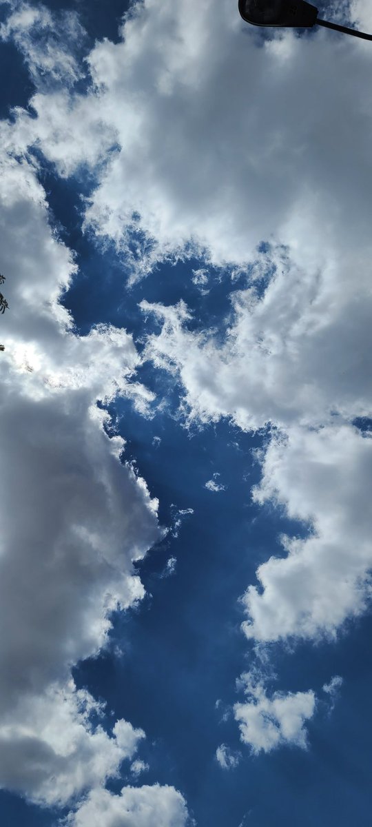 LEGV_7's tweet photo. Gracias Dios por permitirme un día más de vida y deleitarme con un cielo tan asombroso 💙 #LiveThePresent https://t.co/3y6ldserm8