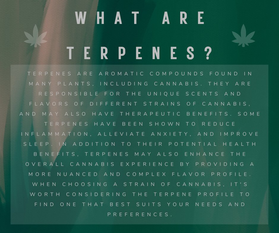 What are Terpenes?
#Terpenes #CannabisTerpenes #PlantMedicine #FlavorProfile #TherapeuticBenefits #Inflammation #AnxietyRelief #SleepAid #CannabisExperience #StrainSelection #HealthAndWellness #NaturalRemedies #AlternativeMedicine #HerbalMedicine #HolisticHealth #CBD #THC