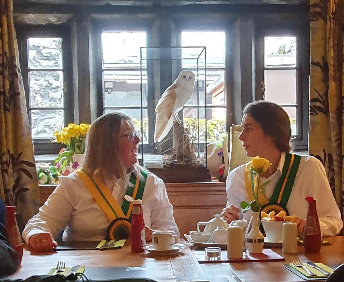 Chapel-en-le-Frith Morris tweet media