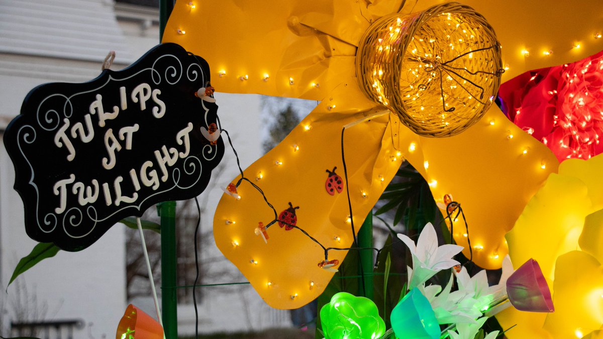 VisitTopeka's tweet image. Missed the opening weekend of Tulips at Twilight? No worries! You still have time to enjoy thousands of tulips and daffodils, and beautiful light displays until April 23rd! ✨🌷

#TulipsAtTwilight #SpringBloom #GardenLovers #Tulips #VisitTopeka