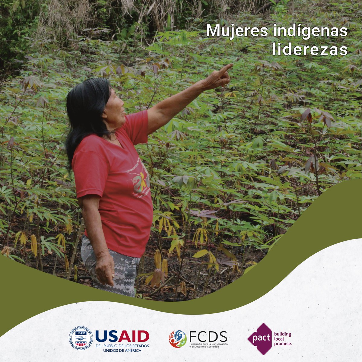 FcdsOrg's tweet photo. En el resguardo Nonuya Villazul conviven 5 pueblos indígenas en armonía🌳Con el apoyo de #SCIOA, más de 380 personas de la comunidad participaron en actividades que fortalecen las capacidades de su resguardo, permitiéndoles enfrentarse a nuevos retos https://t.co/X13QRFzaxu