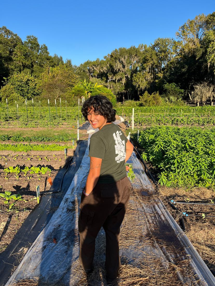 UF Field & Fork tweet media