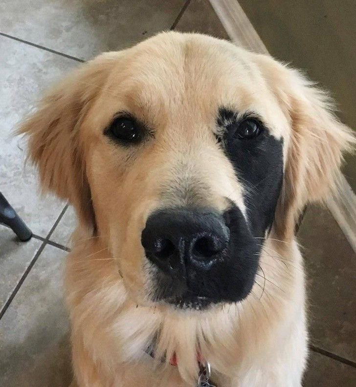 twaniimals's tweet image. 