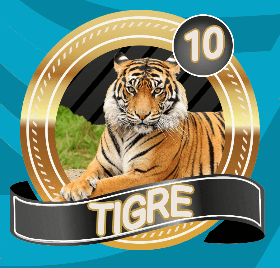 LottoVerde's tweet photo. LOTTO VERDE
SORTEO
10/04/2023
04:30 PM
10 TIGRE
@LottoVerde https://t.co/Q6ryVvSTV3
