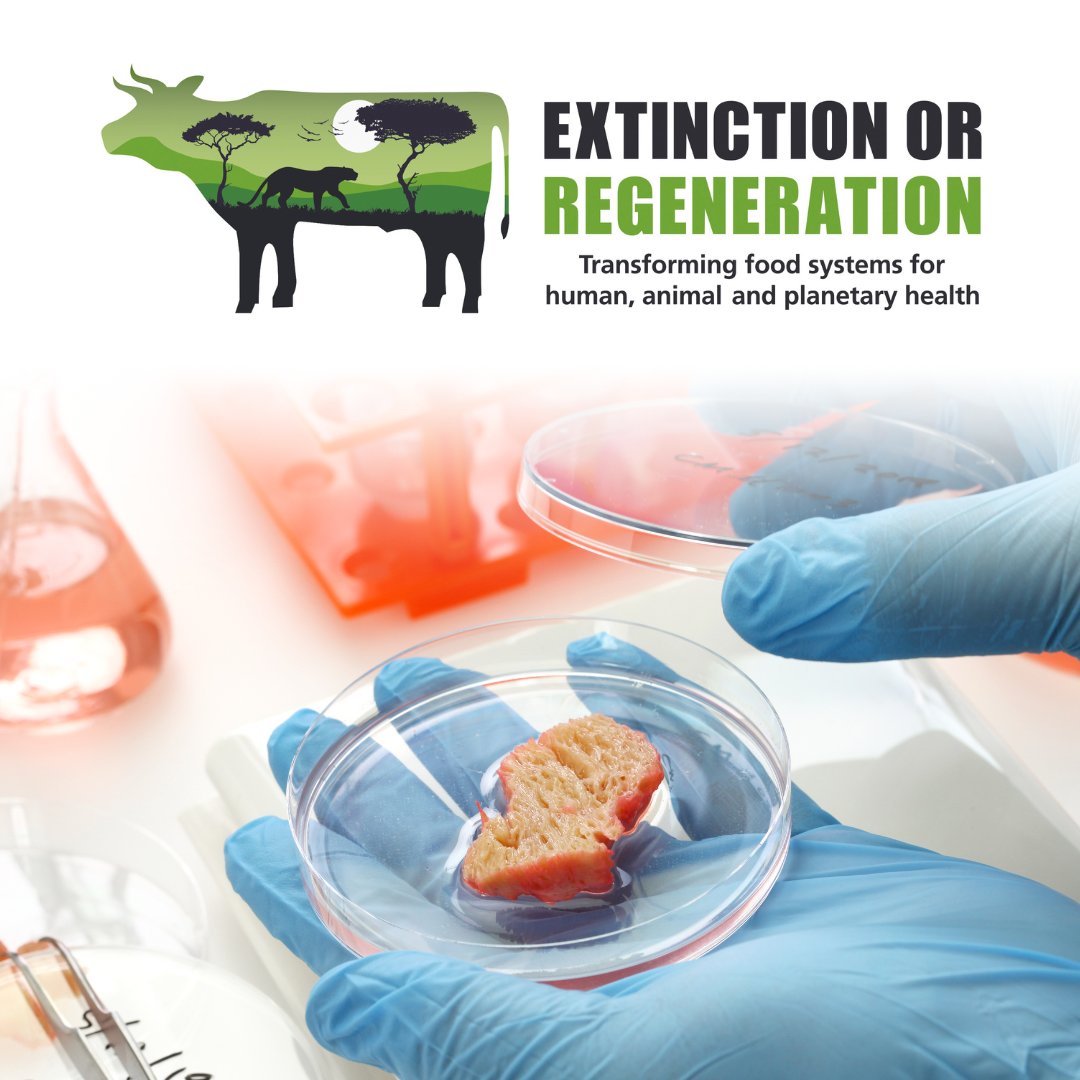 Alternative proteins are set to shake up food systems around the world. Listen to @IshaDatar, Executive Director of @NewHarvestOrg speak about how cultivated meat could help prevent harm to animals and our planet from intensive farming at #Extinction2023: extinctionconference.com