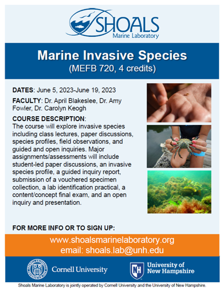 >> MARINE INVASIVE SPECIES << Apply here: shoalsmarinelaboratory.org/marine-invasiv… Course Dates: June 5, 2023 to June 19, 2023.
