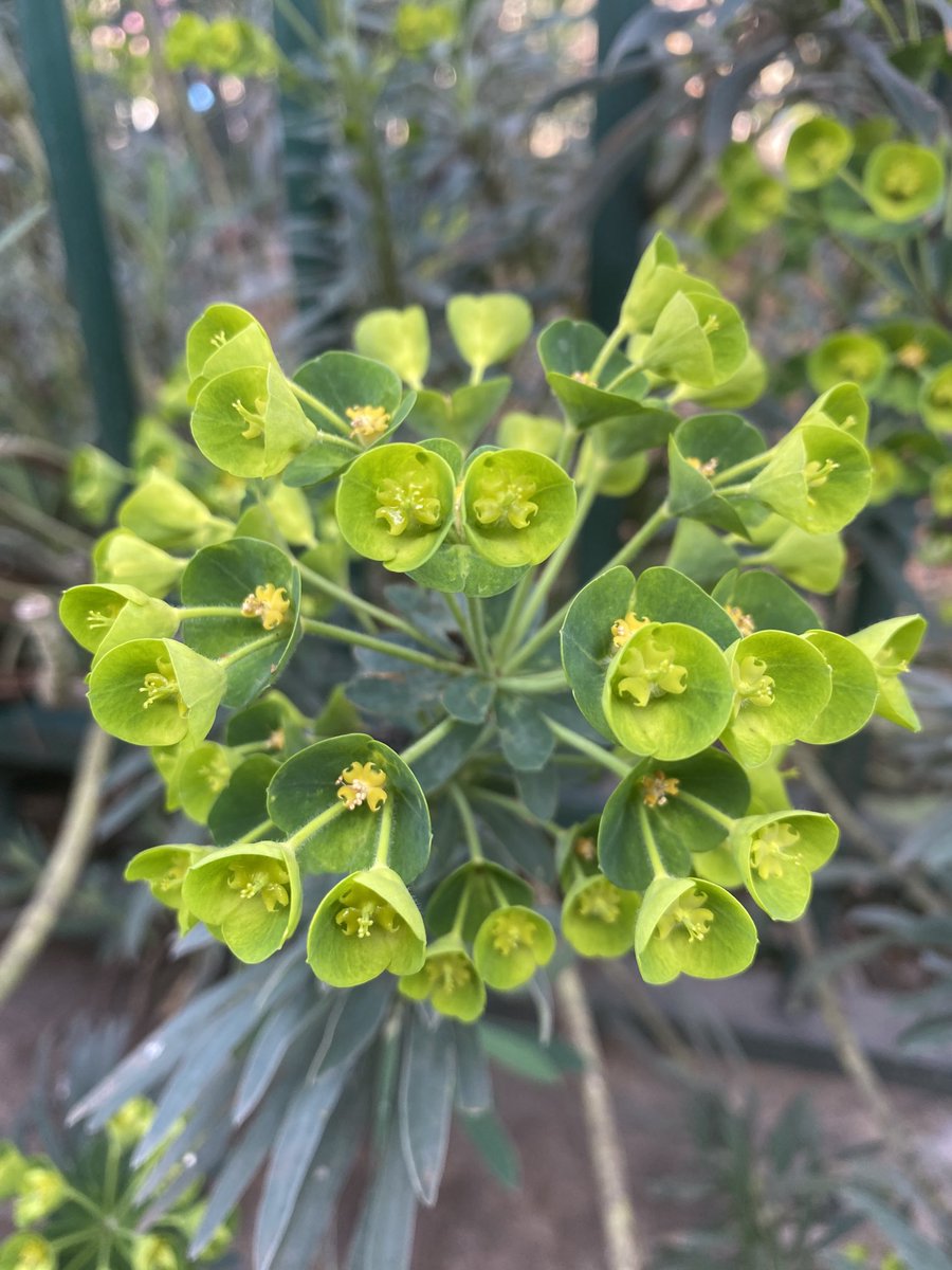 Nat (@19_natha) on Twitter photo 