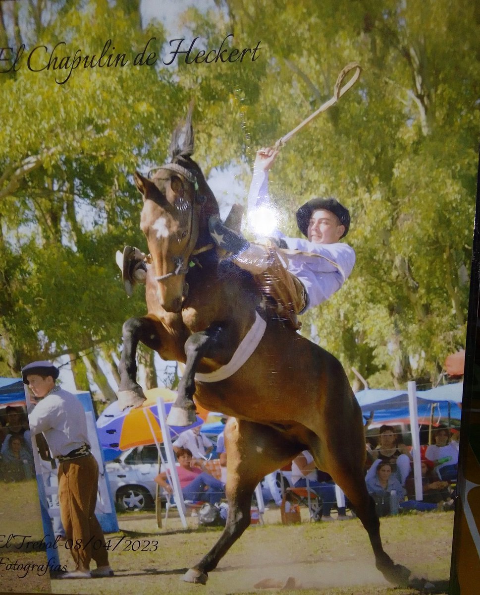 MirkoBarreto7's tweet image. Algunos sueñan mientras duermen, y otros tenemos sueños que no nos dejan dormir