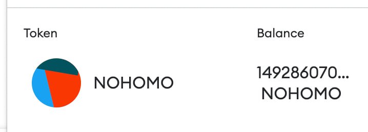 NoHomoCoin tweet media