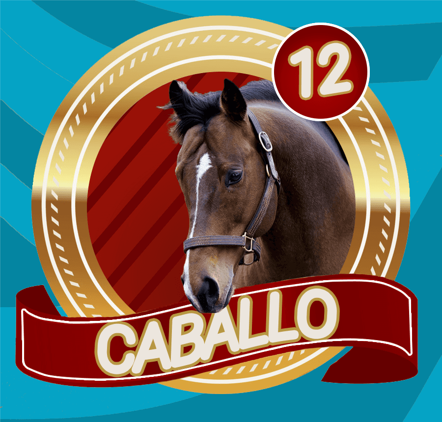 LottoVerde's tweet photo. LOTTO VERDE
SORTEO
10/04/2023
07:30 PM
12 CABALLO
@LottoVerde https://t.co/kbVgKQPP6H