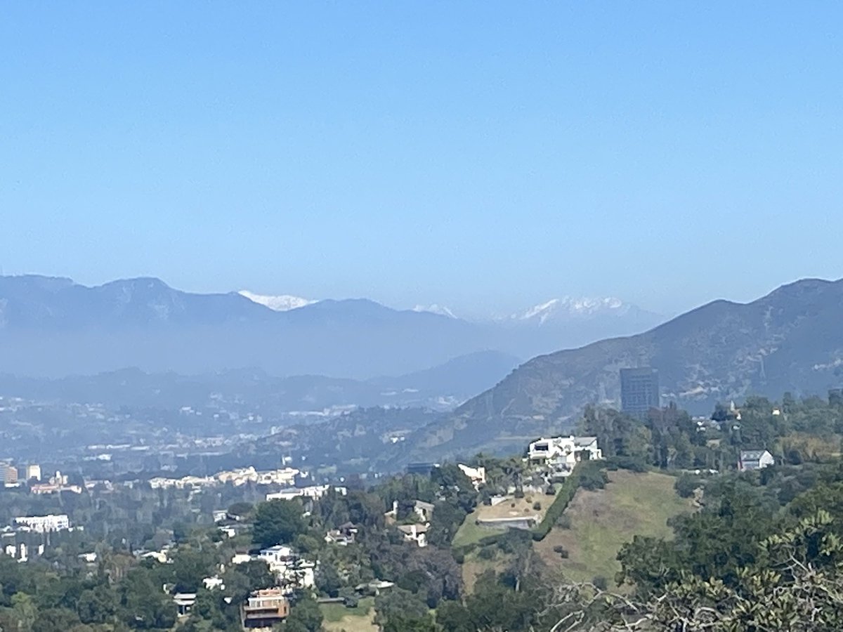 larynx_lynx's tweet photo. Hello, #Fryman, my old friend. #BeenAMinuteorAMillion # SpringtimeInLA #mountainsinthecity #decompression https://t.co/xbS2xZIVsw