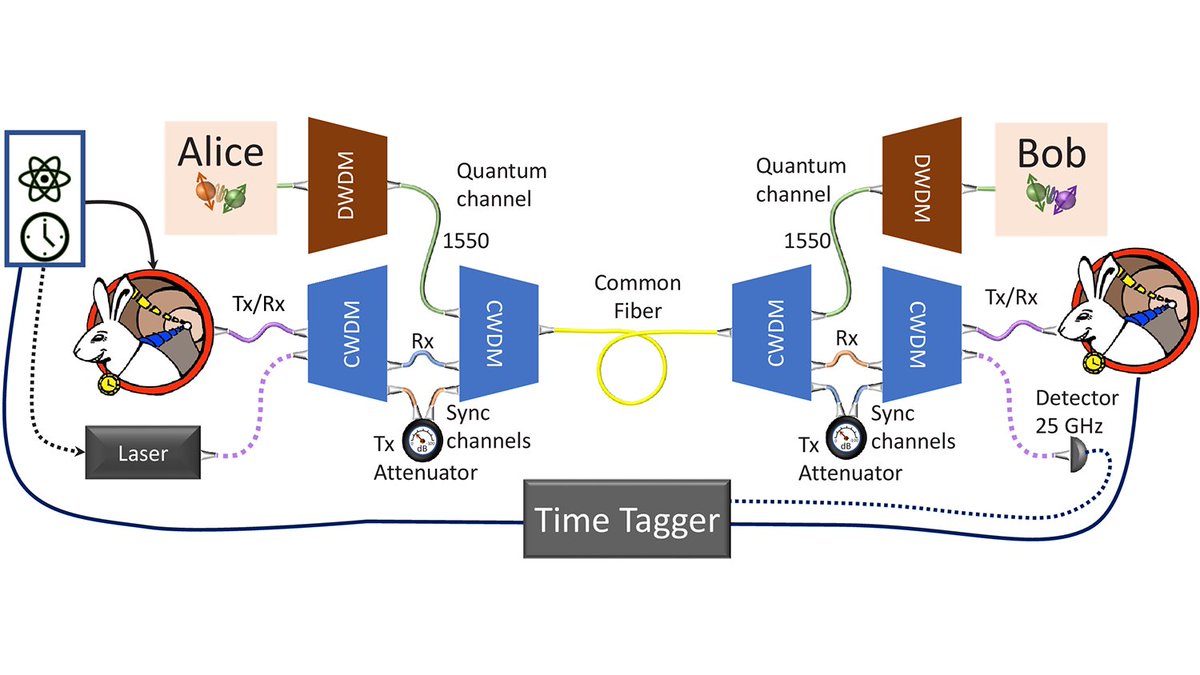 OpticaPubsGroup's tweet photo. Via #OPG_OpEx: Synchronization and coexistence in quantum networks https://t.co/1FB8wdqHAK #EntanglementDistribution @JQInews https://t.co/DAKq0YL8yB