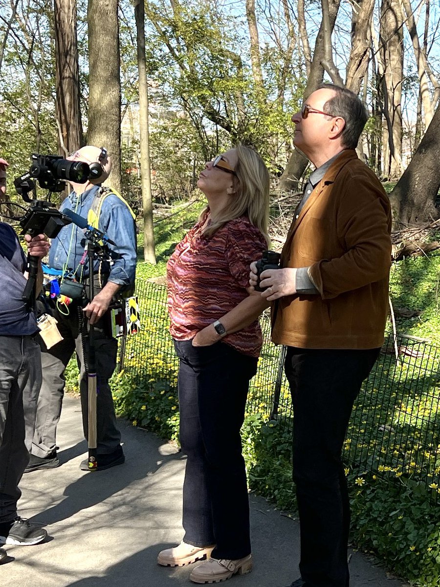 Didn’t expect to see @RickieLeeJones making owl calls to Flaco today in Central Park. @CBSSunday’s @AnthonyMasonCBS part of the FlacoRazzi! #birding #birdcpp #BirdTwitter #birdwatching