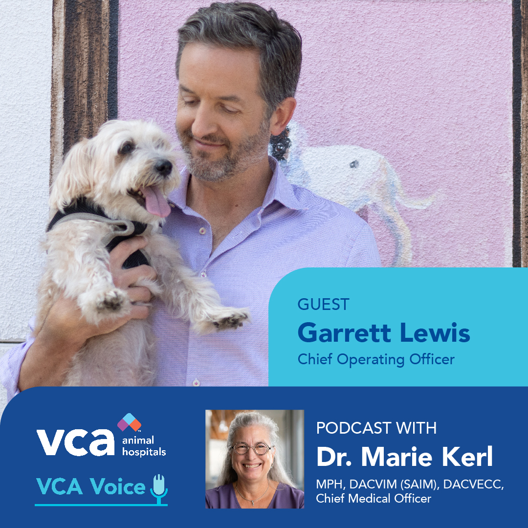 This week on #VCAVoice: 

Garrett Lewis, chief operating officer of VCA Animal Hospitals, shares how we're reinventing world-class medicine -- while honoring our legacy of hometown care. 

LISTEN:  vca.mobi/podcast #veterinary #petcare #pets #podcast #podcasting #listennow