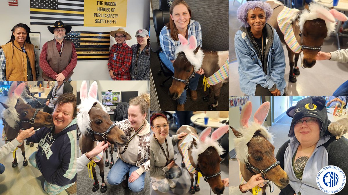 seattlecaredept's tweet photo. Today, we celebrated with our friends Brian and Streaker from Triple B Foundation for Pet Therapy. We love when they come to the CSCC to visit. Thank you so much for making our day so special and bringing smiles to all of our faces!
#telecommunicatorweek2023 #seattlecscc #seattle https://t.co/uz0z8dMkBu