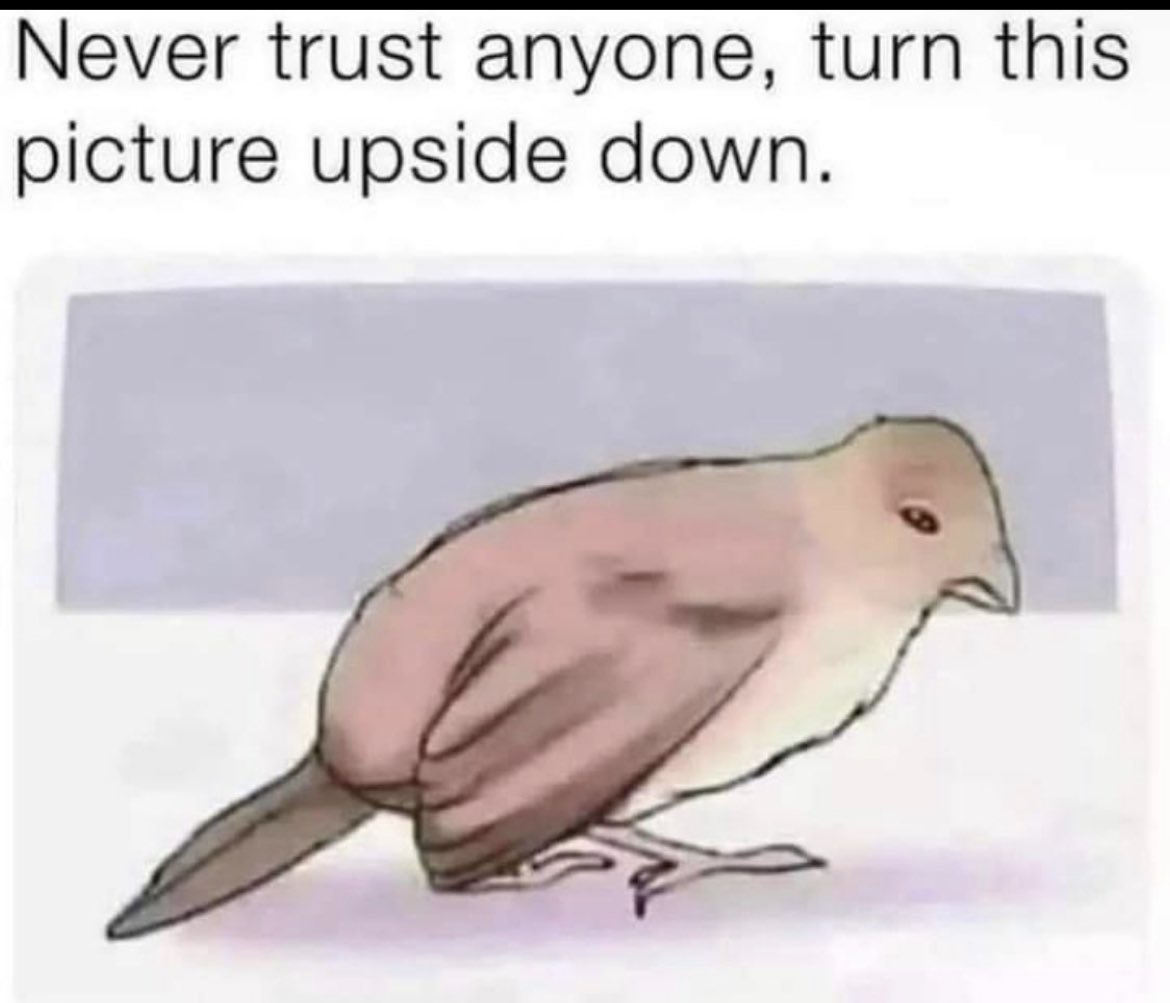 DevonESawa's tweet photo. This is some boomer shit. https://t.co/6qZIRUVxOk