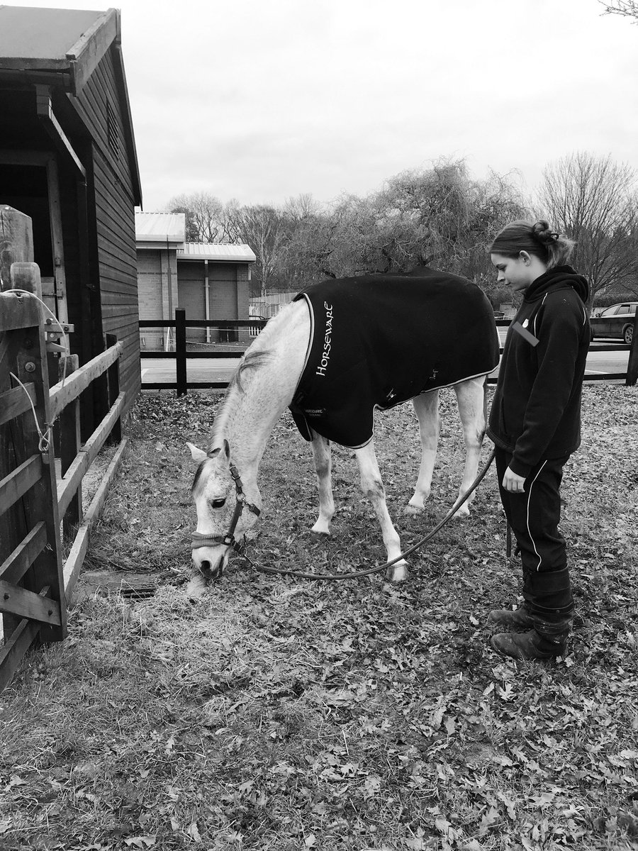 End of a chapter 📖