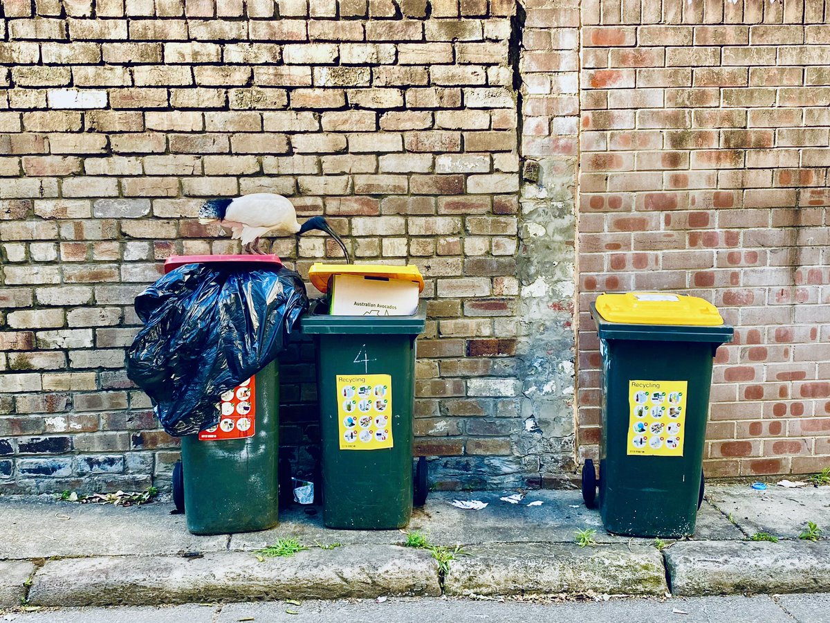 Ann Jones tweet media