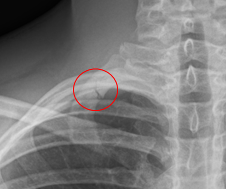 Michael Beasley tweet media