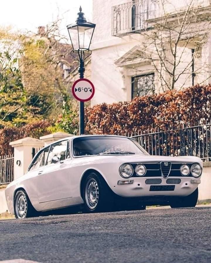 hexmoor_69's tweet image. 