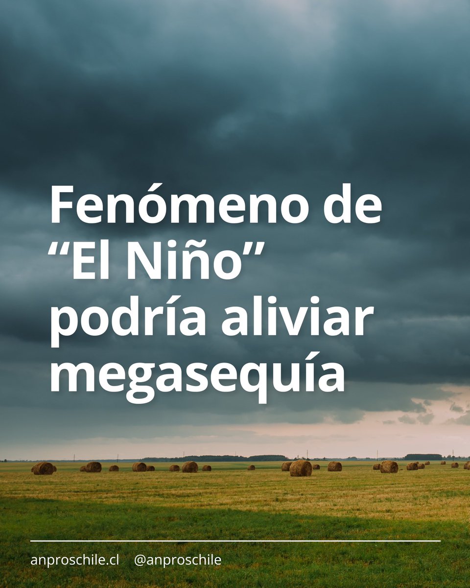 Anpros Semillas de Chile tweet media